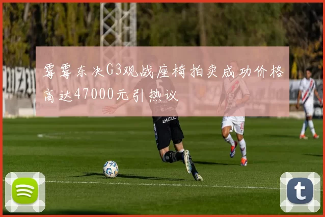 霉霉东决G3观战座椅拍卖成功价格高达47000元引热议