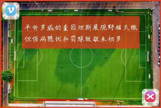 平价罗威的奎因坦斯展现野猫天赋但伤病隐忧和罚球致敬米切罗