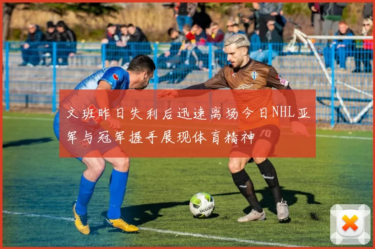 文班昨日失利后迅速离场今日NHL亚军与冠军握手展现体育精神
